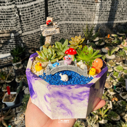 Enchanted Village Fairy Garden — Limited Edition