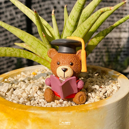 Graduation Fairy Garden — Limited Edition