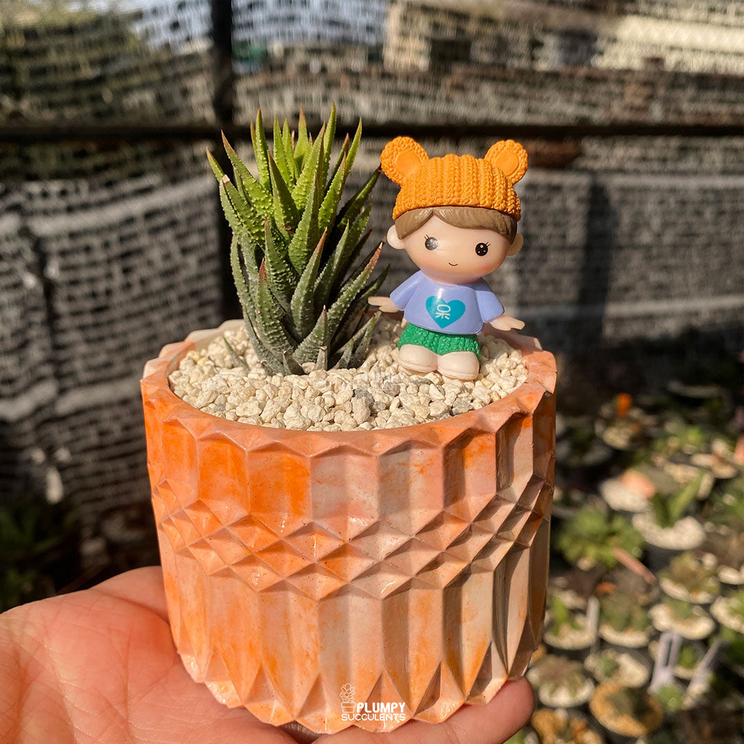 Mini Tower Fairy Garden — Limited Edition