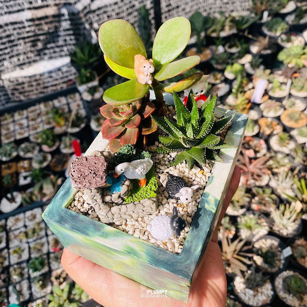 Green Harmony Fairy Garden — Limited Edition