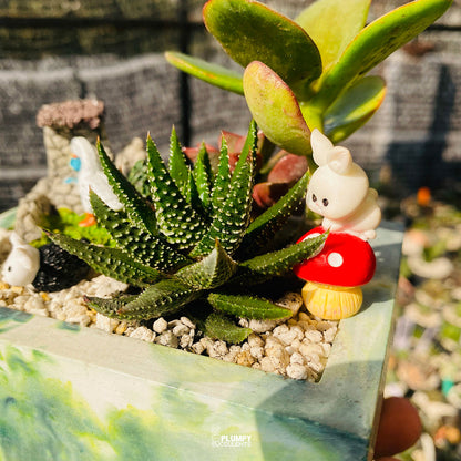 Green Harmony Fairy Garden — Limited Edition