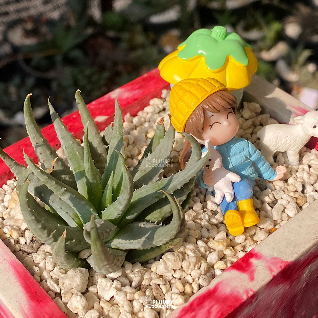 Storybook Cottage Fairy Garden — Limited Edition