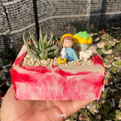 Storybook Cottage Fairy Garden — Limited Edition