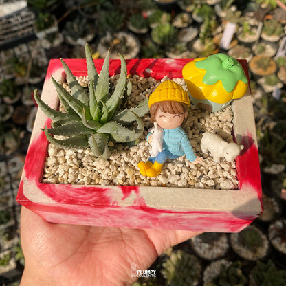 Storybook Cottage Fairy Garden — Limited Edition