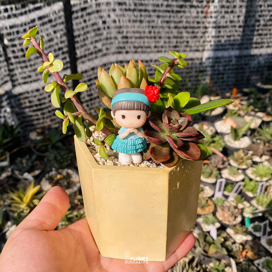 Golden Sunshine Garden — Limited Edition