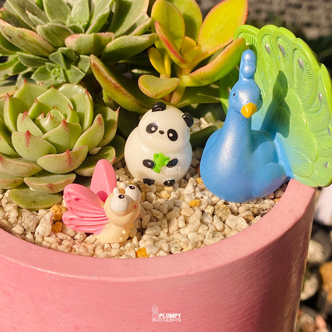Blushing Peacock Fairy Garden — Limited Edition