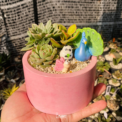 Blushing Peacock Fairy Garden — Limited Edition