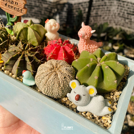 Small Forest Cactus Garden — Limited Edition