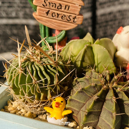 Small Forest Cactus Garden — Limited Edition