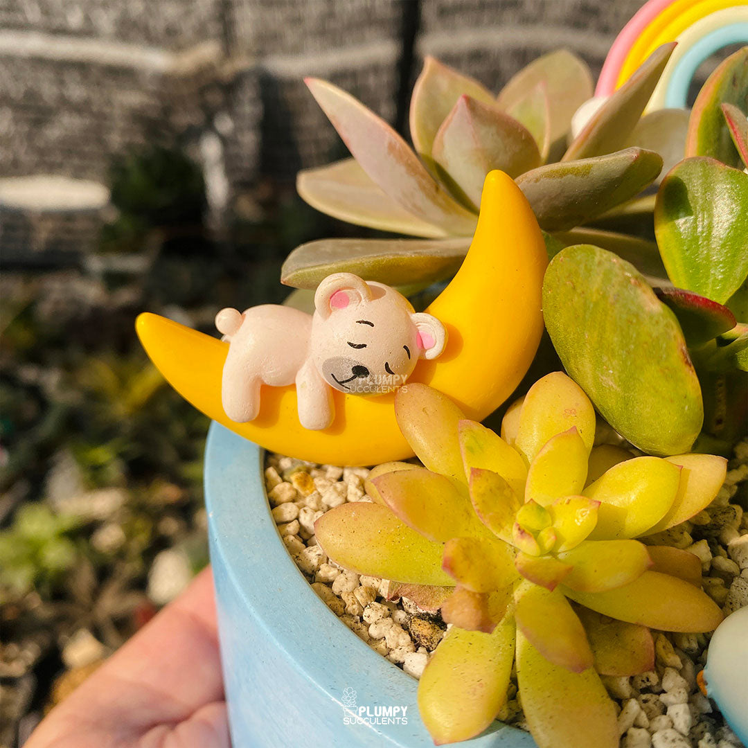 Dreamy Moon Fairy Garden — Limited Edition