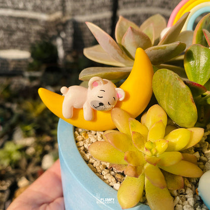 Dreamy Moon Fairy Garden — Limited Edition