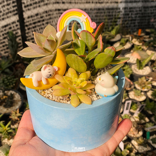 Dreamy Moon Fairy Garden — Limited Edition