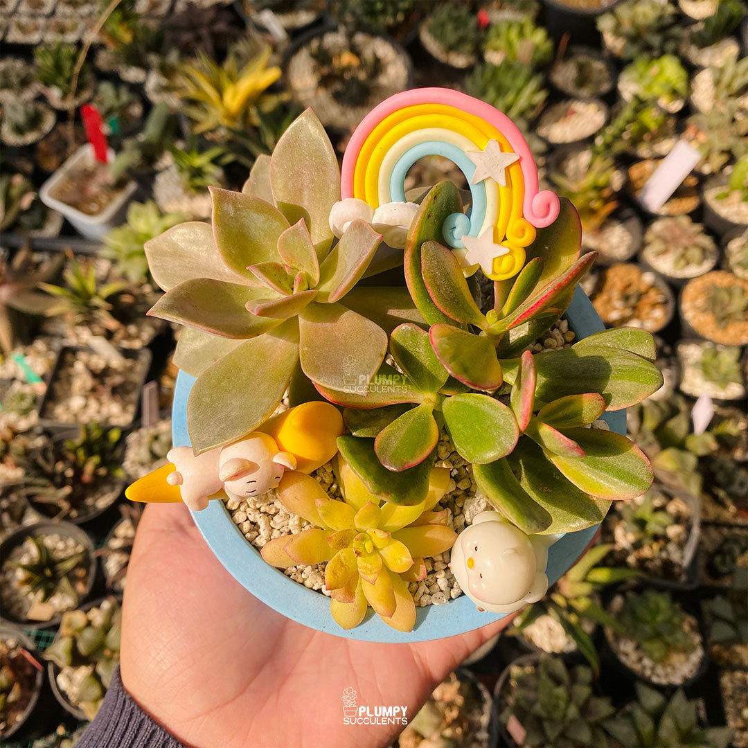 Dreamy Moon Fairy Garden — Limited Edition