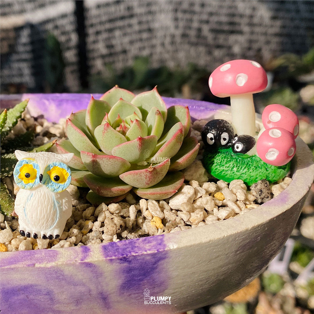 Enchanted Boat Fairy Garden — Limited Edition