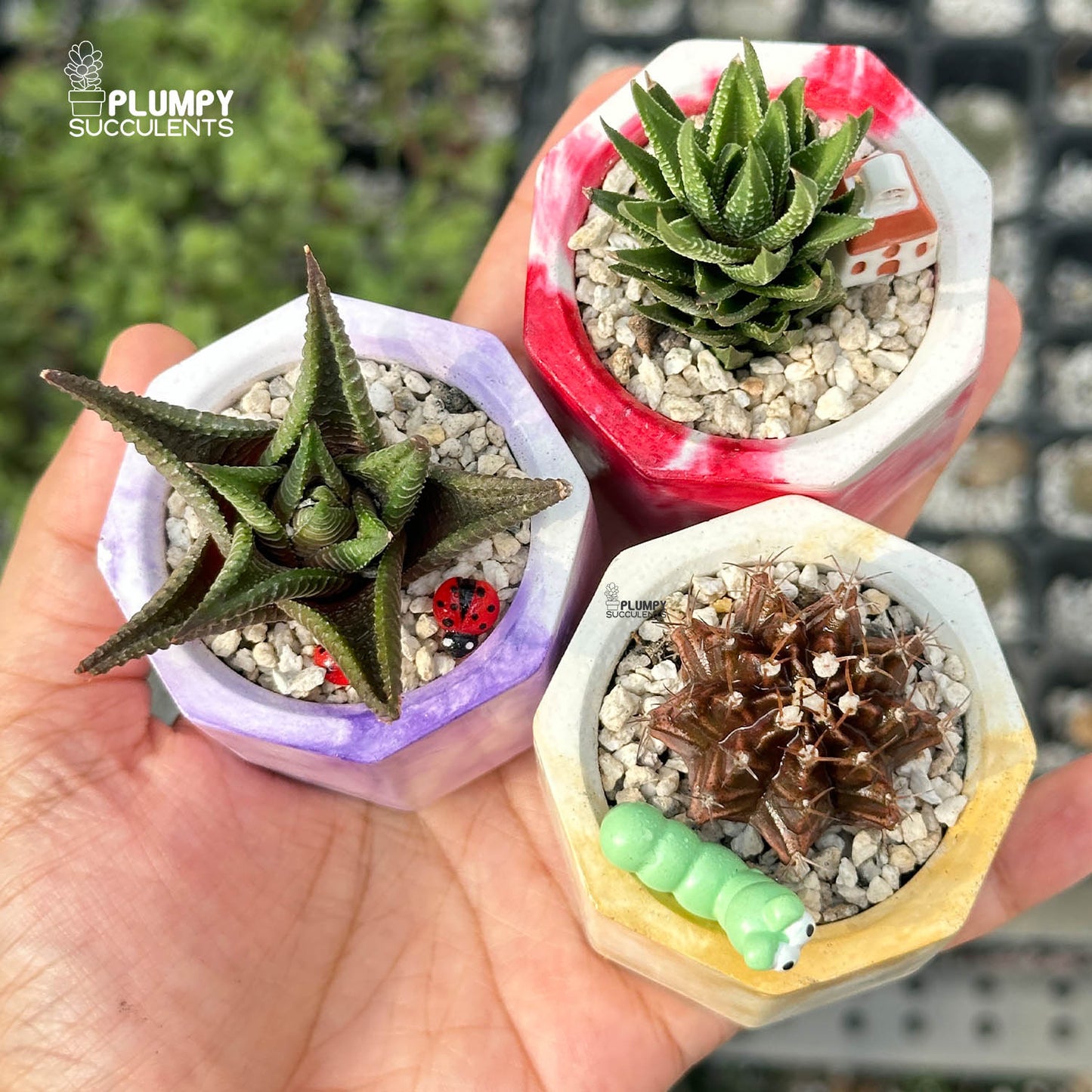 MARBLY TRIO — Set of 3 Mini Succulent & Cactus Planters