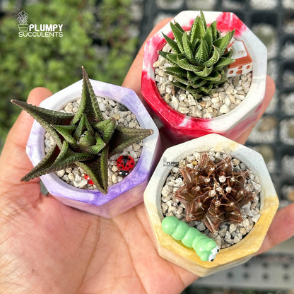 MARBLY TRIO — Set of 3 Mini Succulent & Cactus Planters