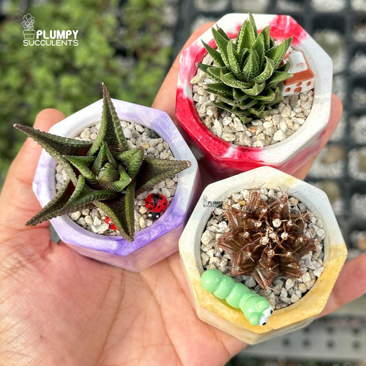 MARBLY TRIO — Set of 3 Mini Succulent & Cactus Planters