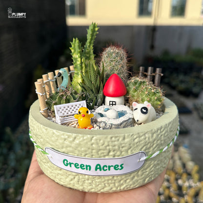 Green Acres – Little Farm Succulent Garden