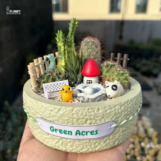 Green Acres – Little Farm Succulent Garden