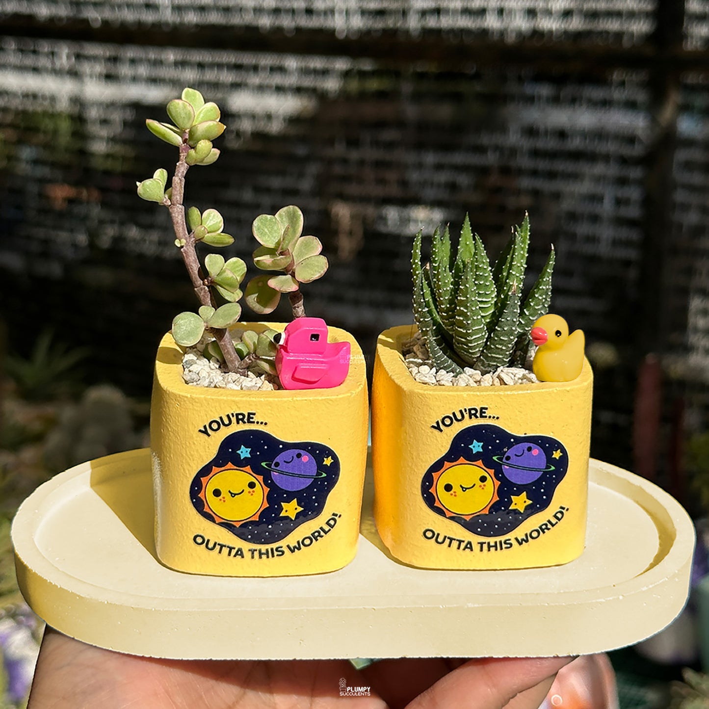 YELLOW – “Joy & Sunshine Planter”