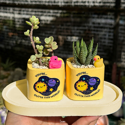 YELLOW – “Joy & Sunshine Planter”