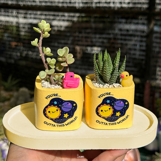 YELLOW – “Joy & Sunshine Planter”