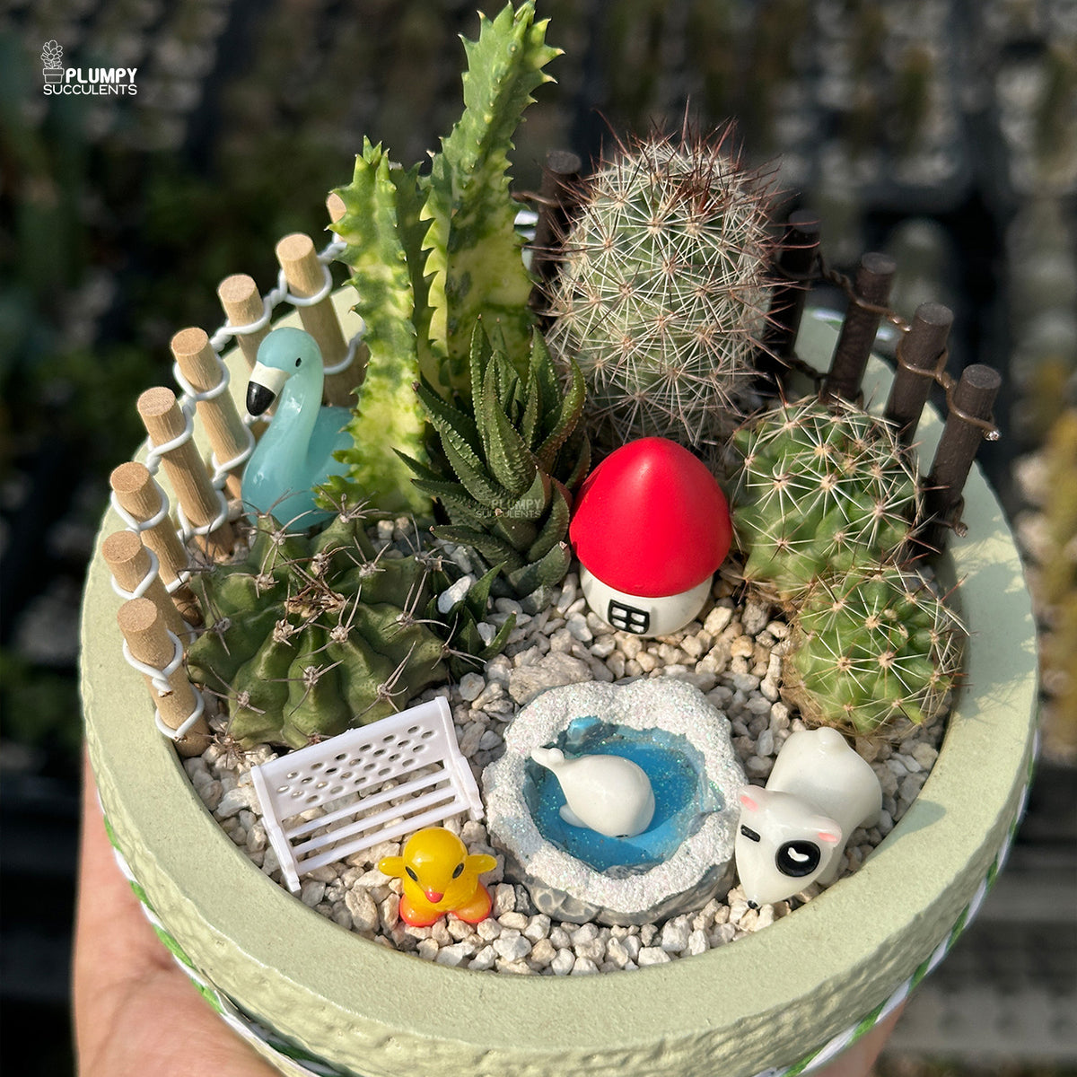 Green Acres – Little Farm Succulent Garden
