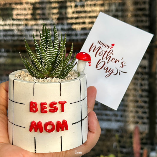 “Best Mom Planter” (3-inch Round) - PRE-ORDER (DELIVERY TIME 1 WEEK)