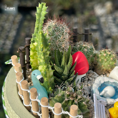 Green Acres – Little Farm Succulent Garden
