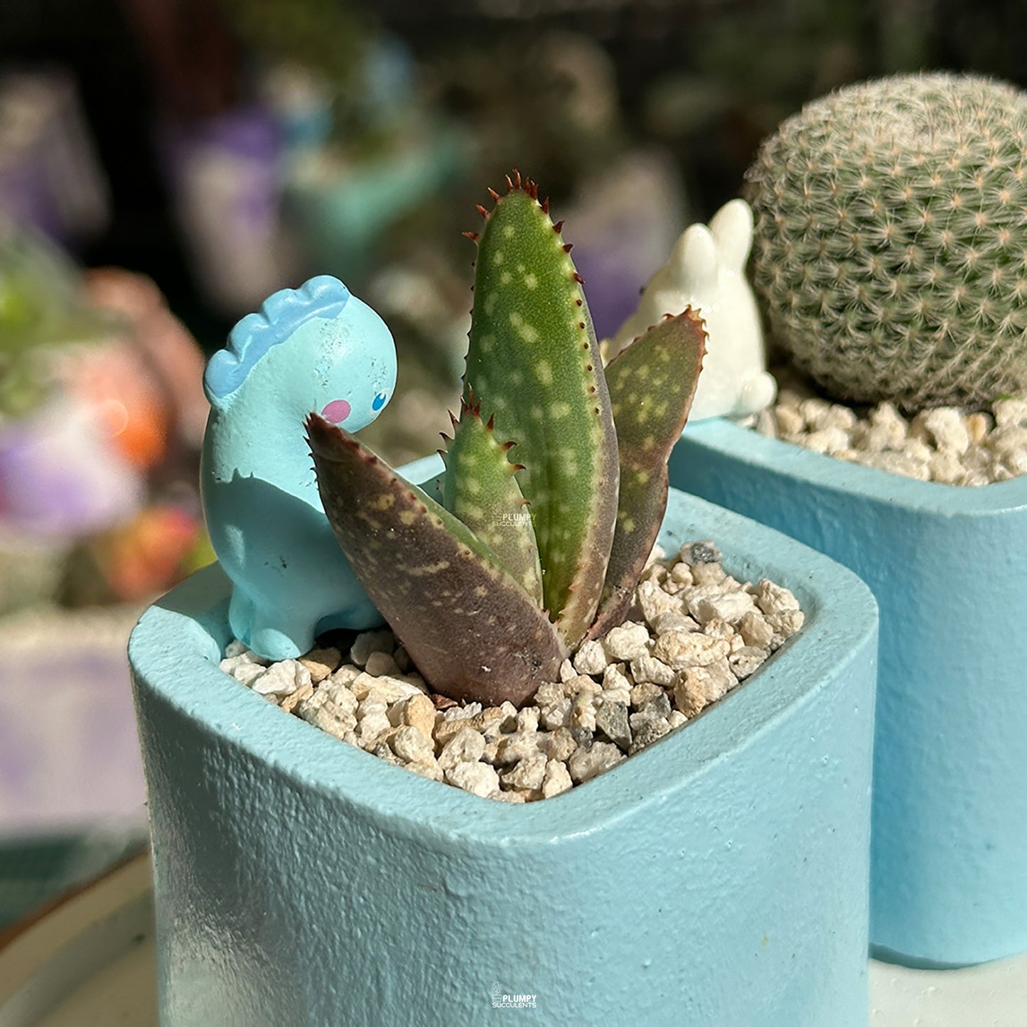 BLUE – “You Are Loved” Planter