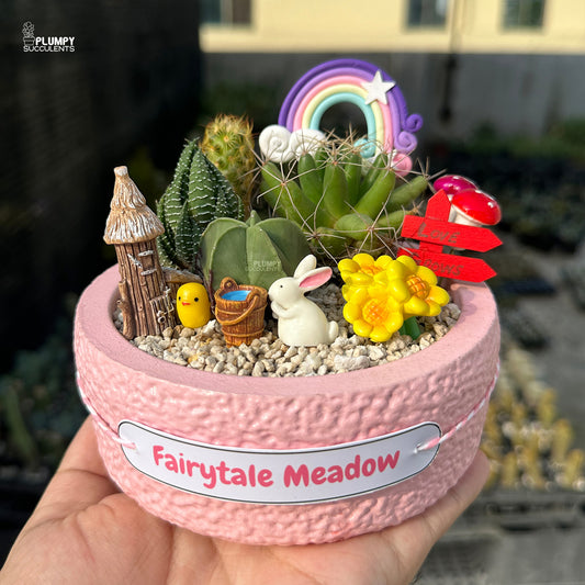 Fairytale Meadow – Mini Cactus & Succulent Garden