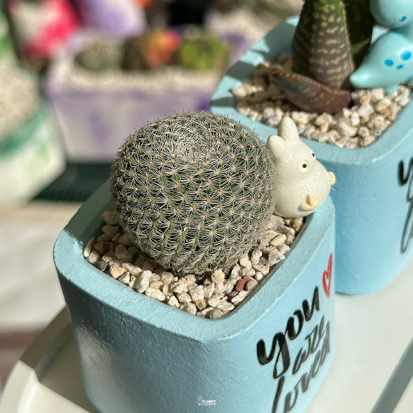 BLUE – “You Are Loved” Planter