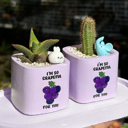 PURPLE – “I’m So Grapeful For You” Planter