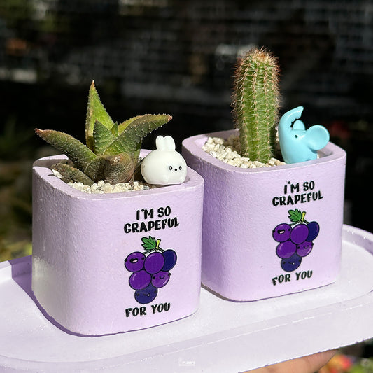 PURPLE – “I’m So Grapeful For You” Planter