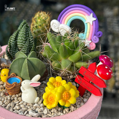 Fairytale Meadow – Mini Cactus & Succulent Garden