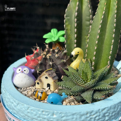 Cactus Beach – Little Blue Island Succulent Garden