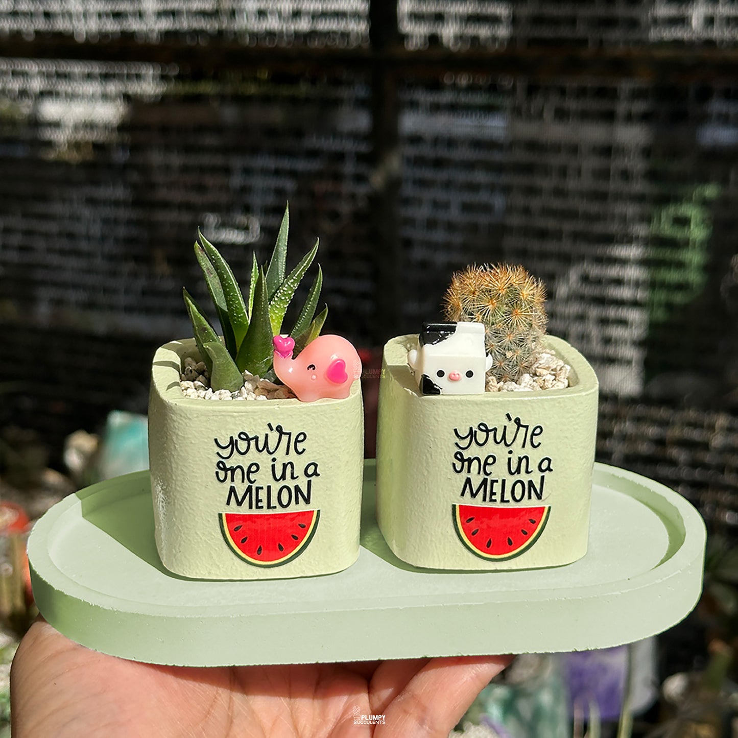 GREEN – “You’re One in a Melon” Planter