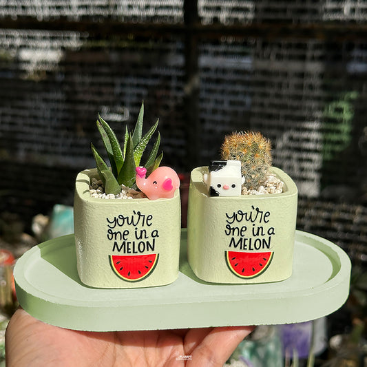 GREEN – “You’re One in a Melon” Planter