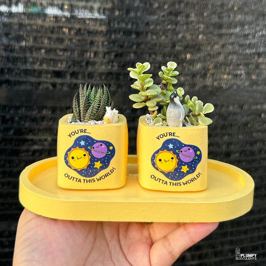 YELLOW – “Joy & Sunshine Planter”