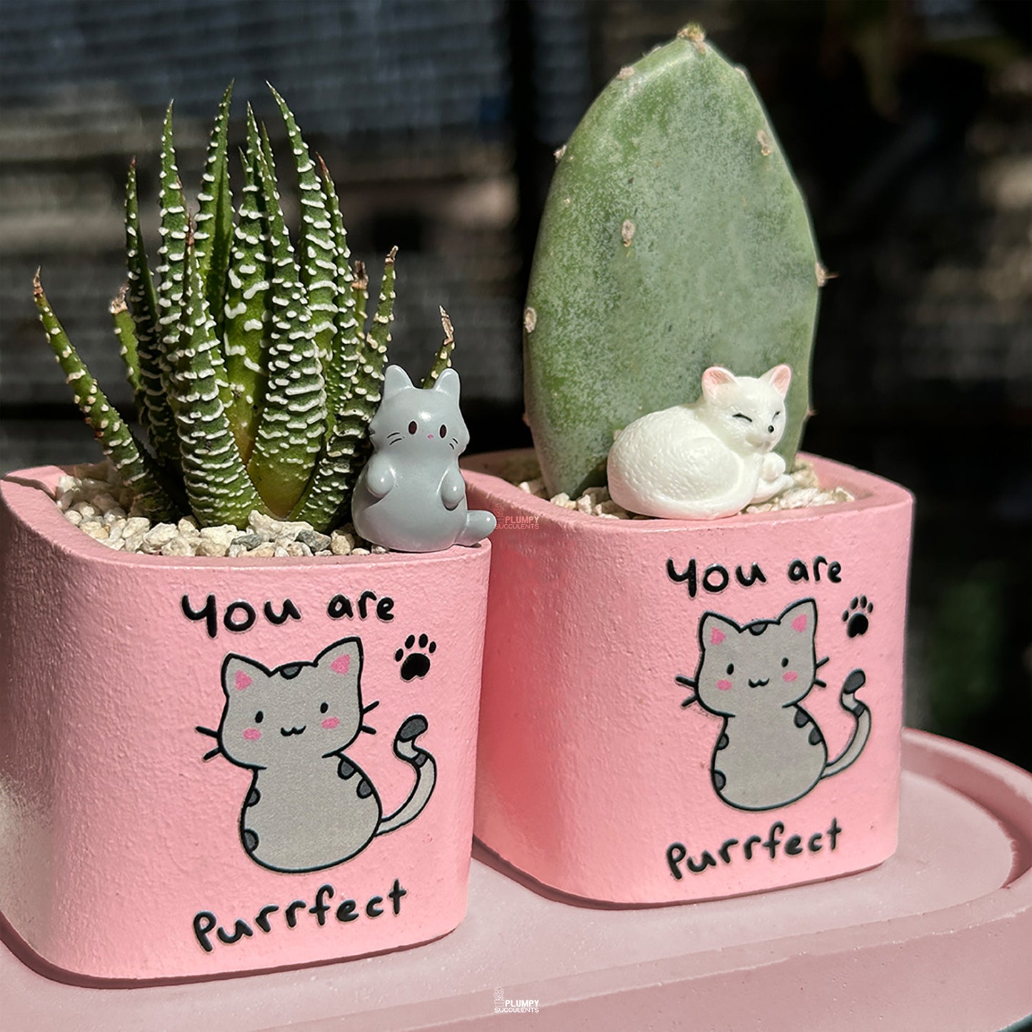 PINK – “You Are Purrfect” Planter