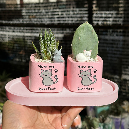PINK – “You Are Purrfect” Planter