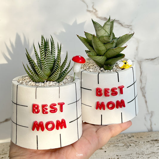 “Best Mom Planter” (3-inch Round) - PRE-ORDER (DELIVERY TIME 1 WEEK)