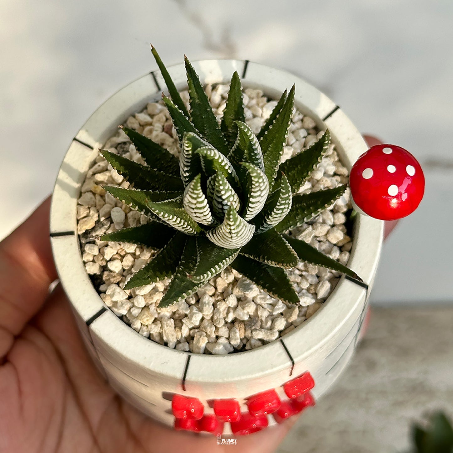 “Best Mom Planter” (3-inch Round) - PRE-ORDER (DELIVERY TIME 1 WEEK)