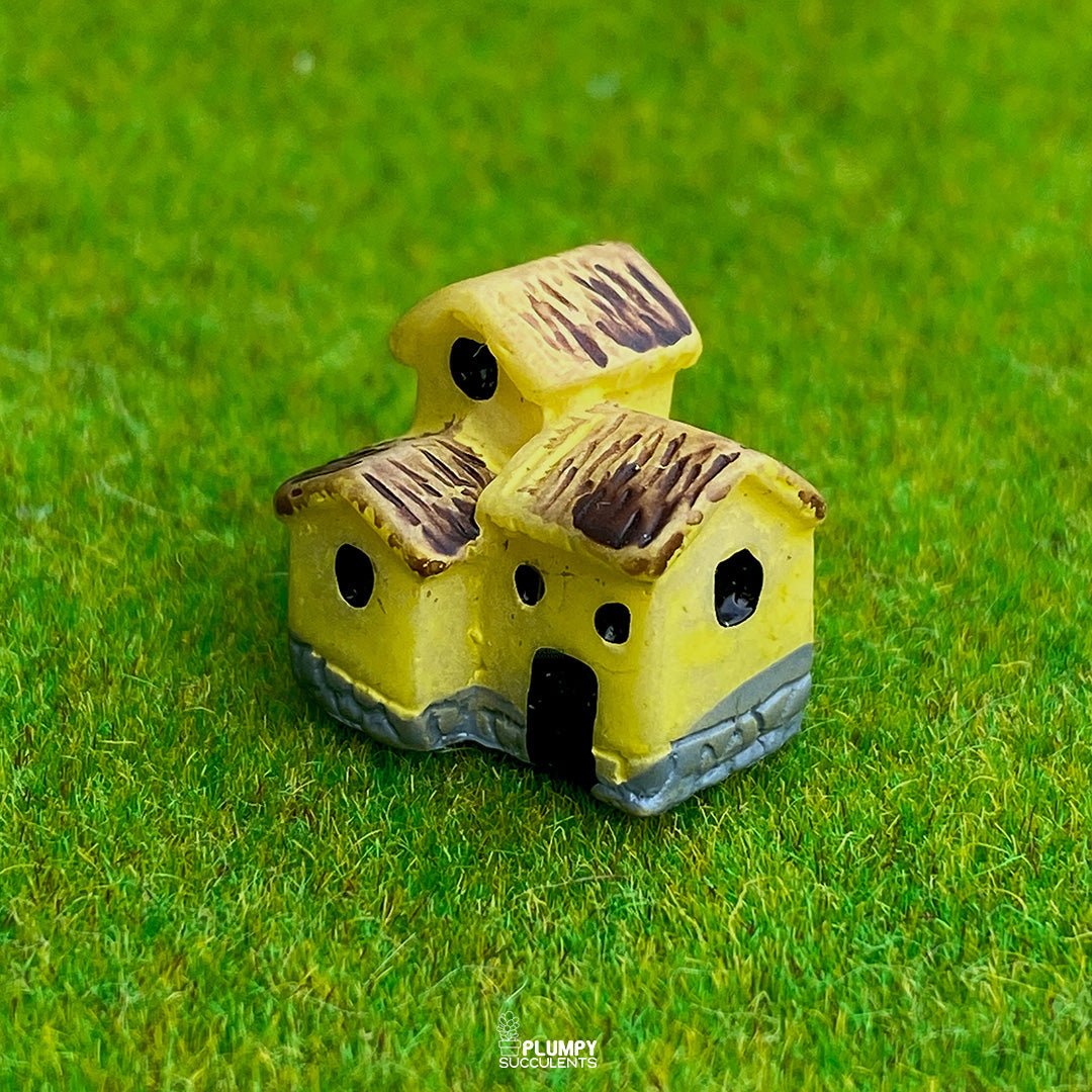 Small House