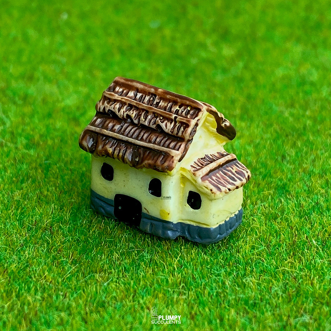 Small House