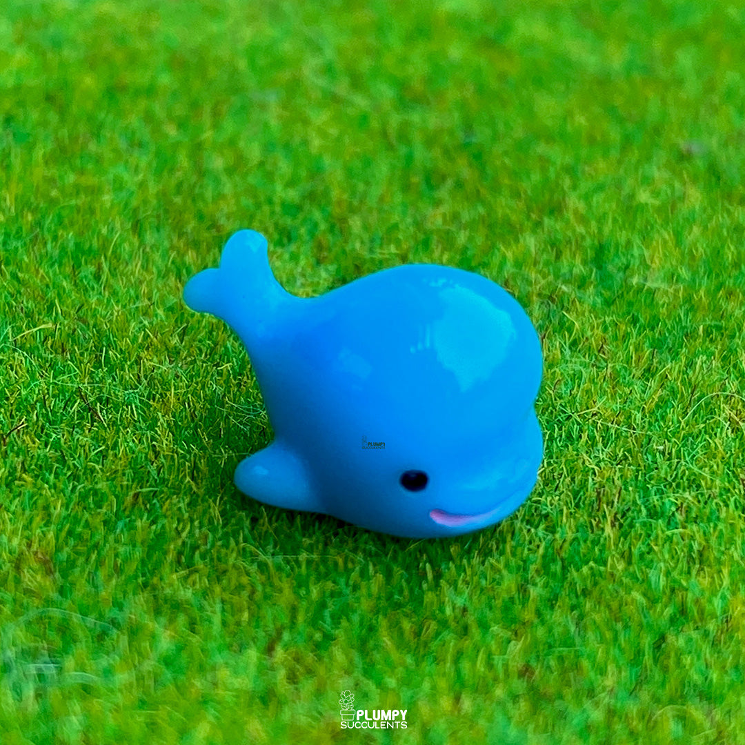 Dolphin
