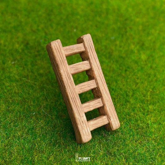 Ladder