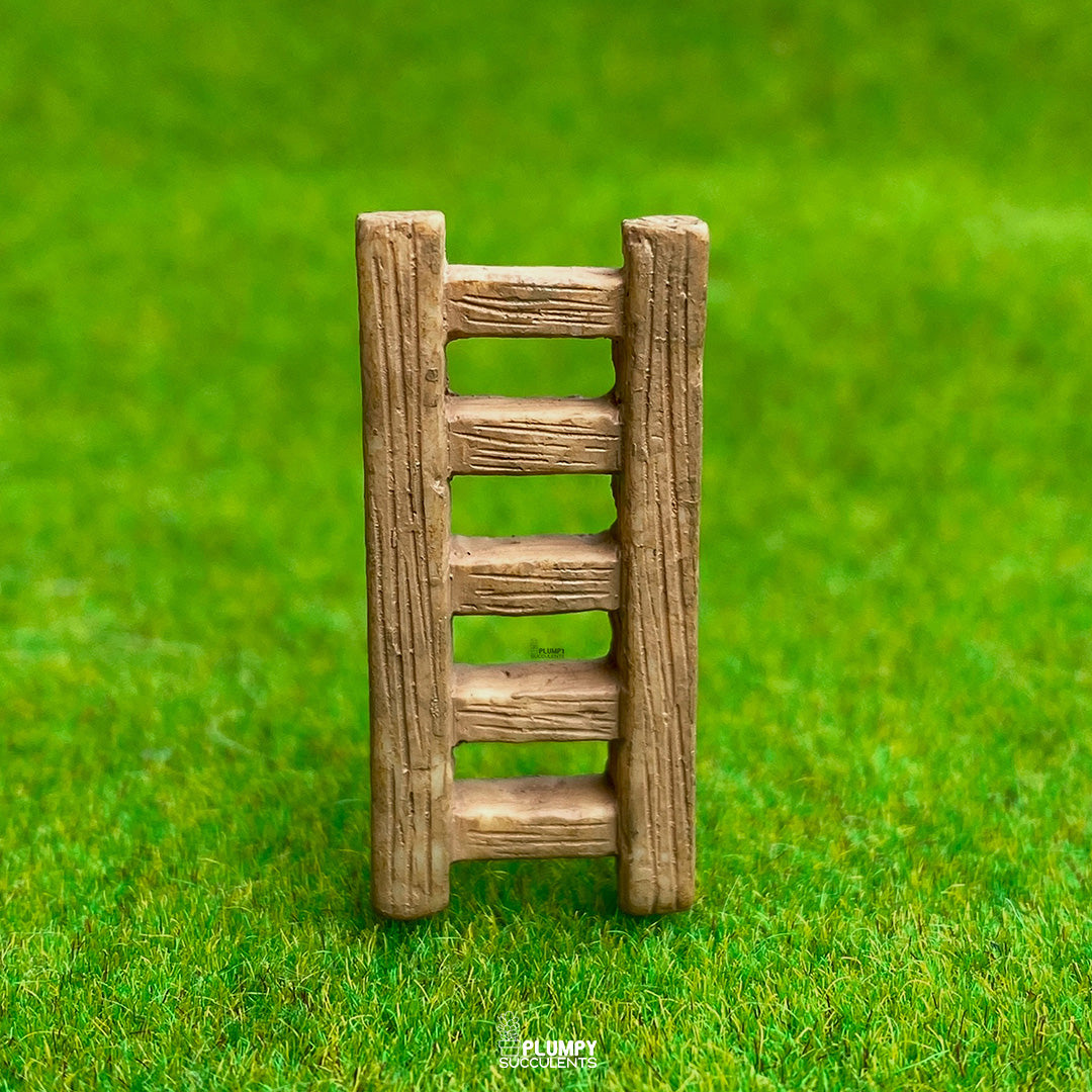 Ladder