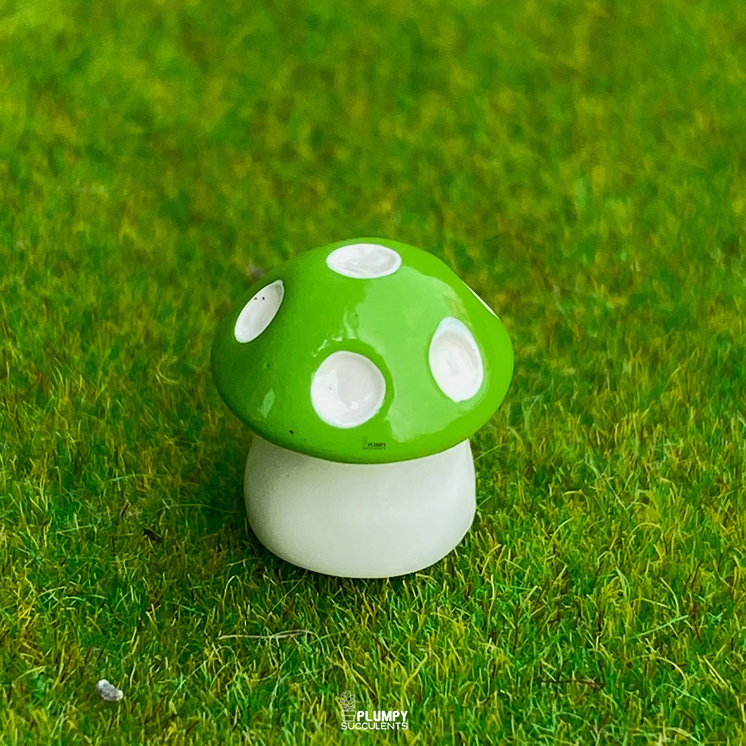 Mini Mushrooms