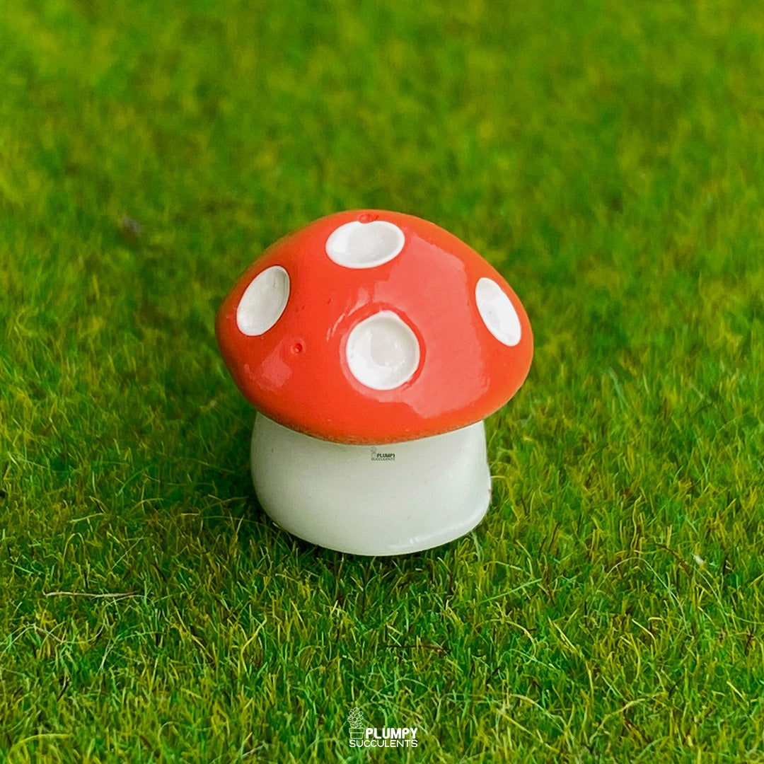 Mini Mushrooms